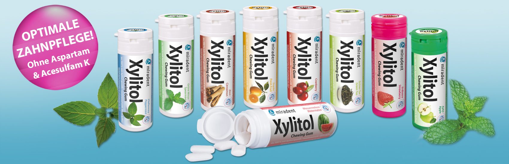 Xylitol Chewing Gums