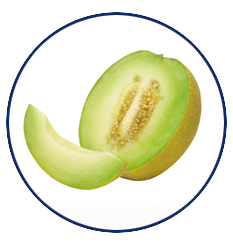 Xylitol Drops Melone