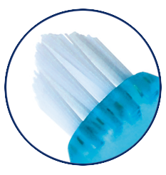 Protho Brush