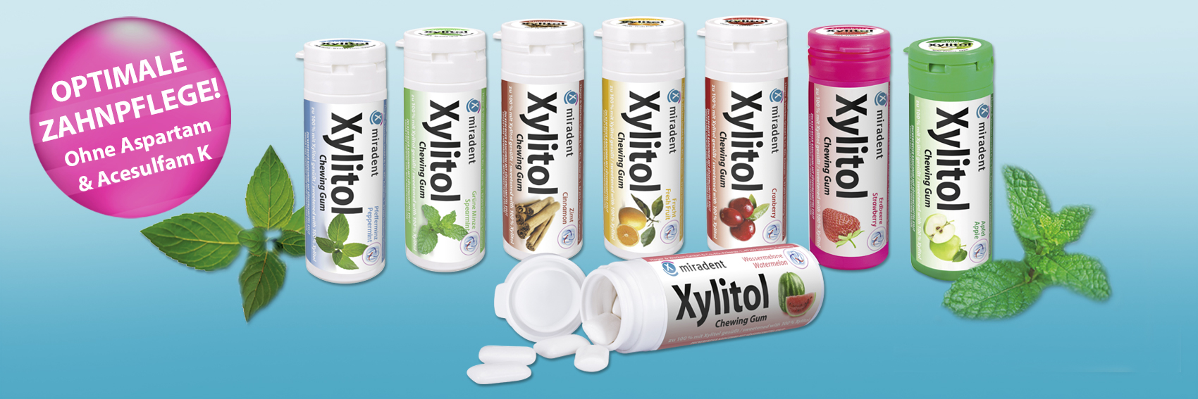 Xylitol Chewing Gum Sortiment 2025